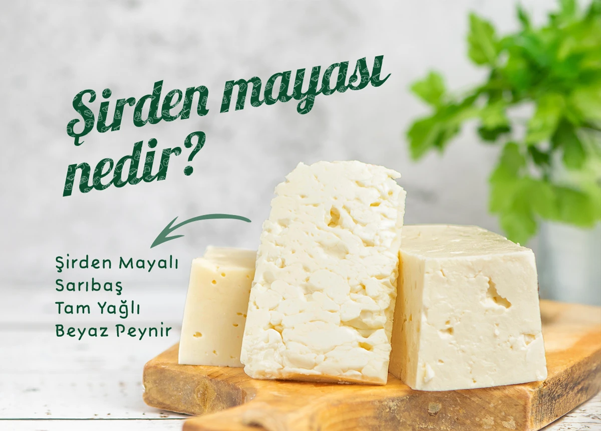 Şirden Mayası Nedir?